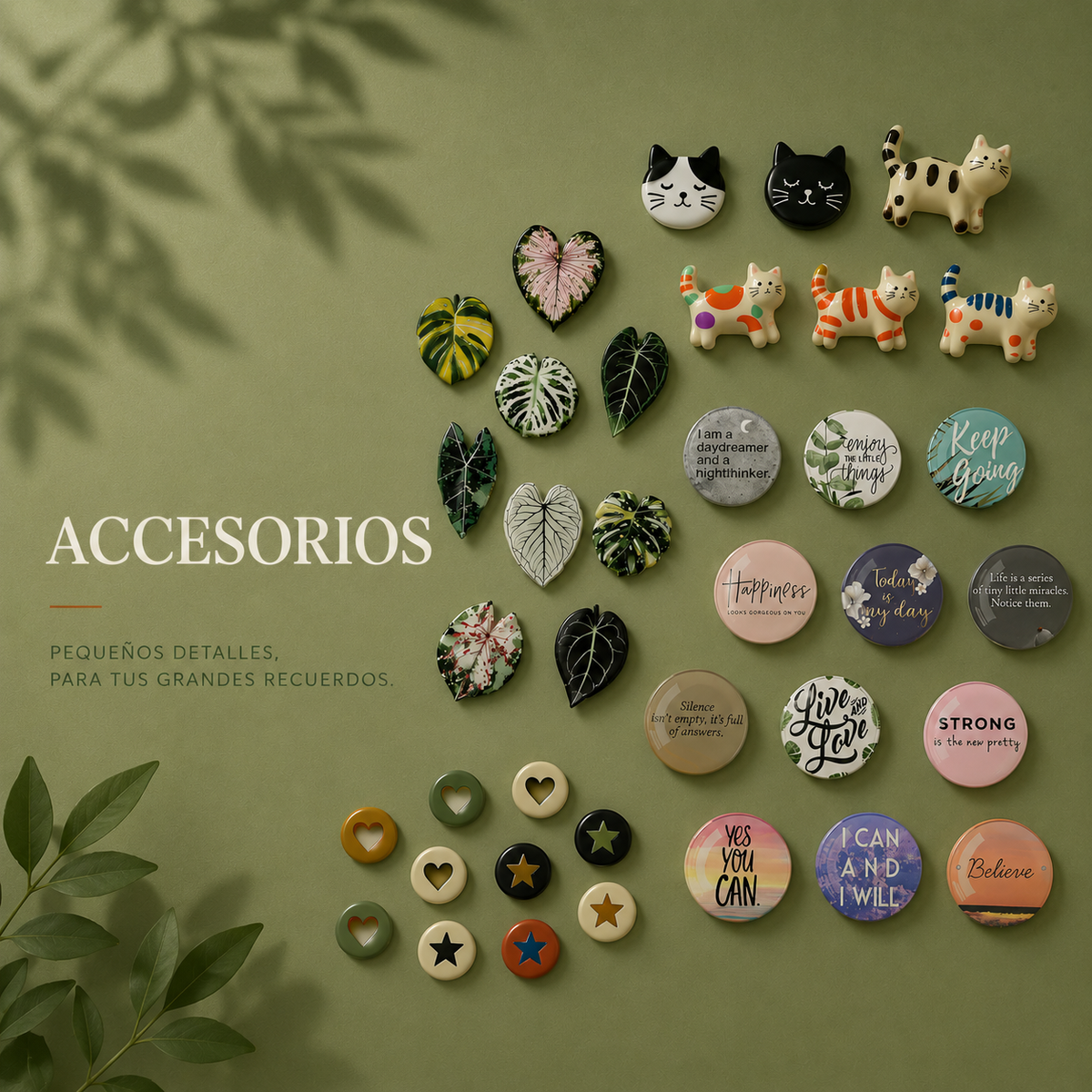 Accesorios